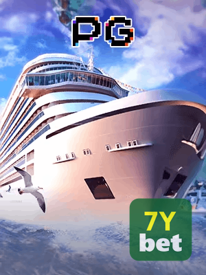 7Y BET termos — contrato de uso e regulamento da plataforma